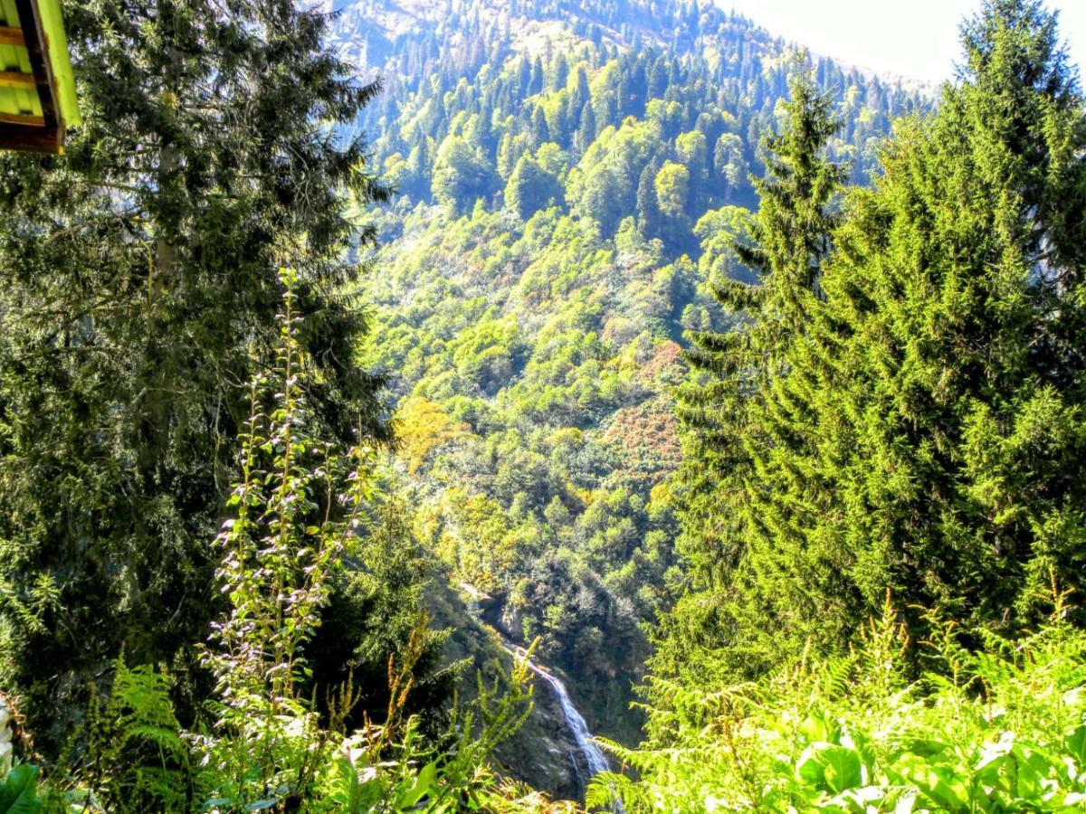 Ayder Simsir Butik Otel Exteriér fotografie